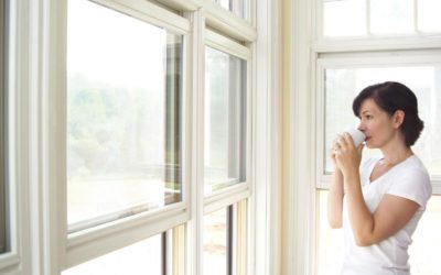 What You Need to Know Before Purchasing Replacement Windows