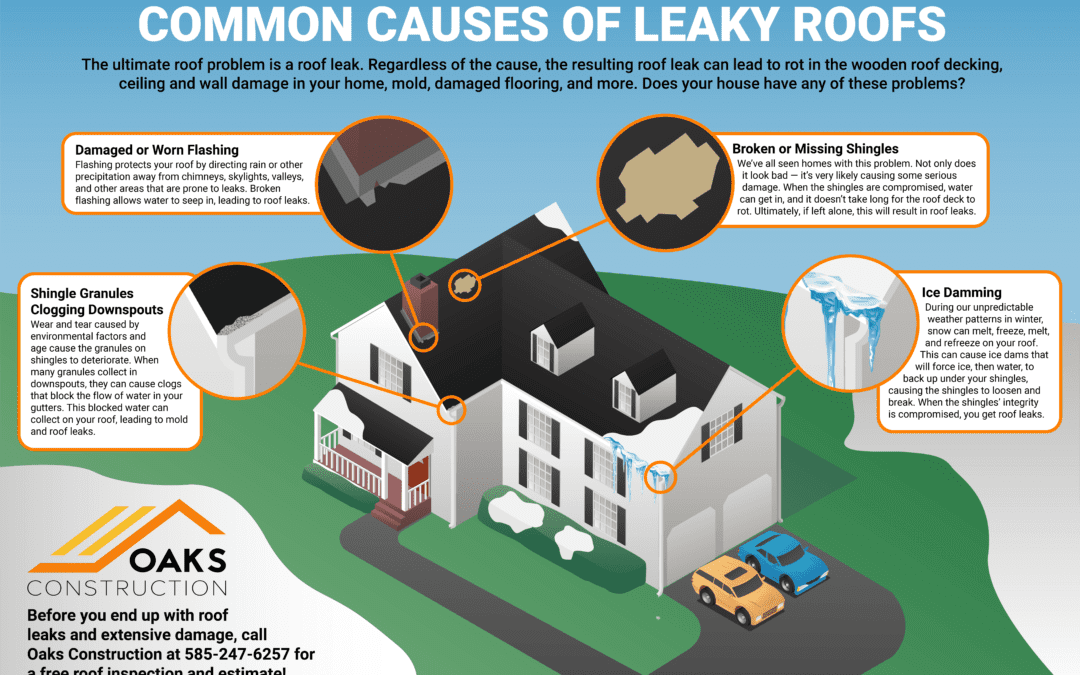 infographic of roof problems