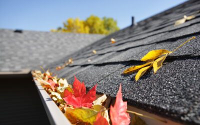 How to Prepare Your Gutters for Fall
